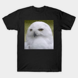 Snowy Owl T-Shirt